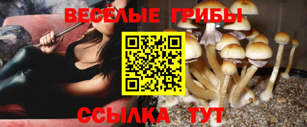 Хабаровск  Псилоцибиновые грибы мицелий  Вход с VPN  купить наркотик  Псилоцибиновые грибы Cubensis 